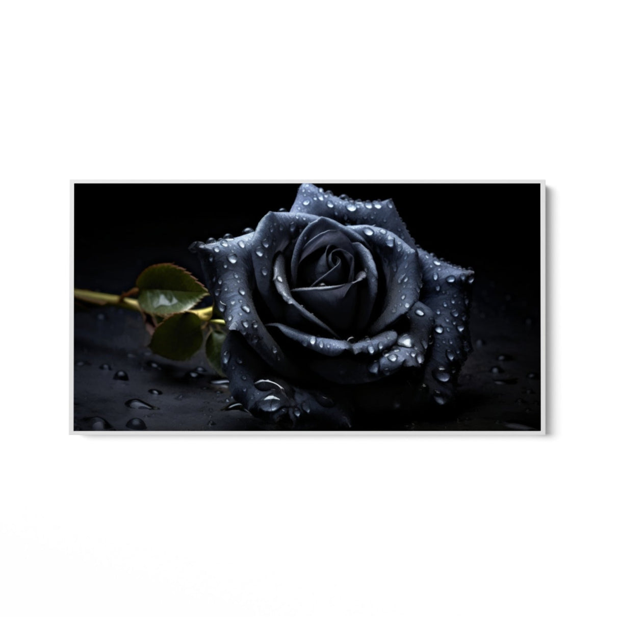 Die schwarze Rose 50x100cm