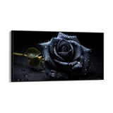 Die schwarze Rose 50x100cm