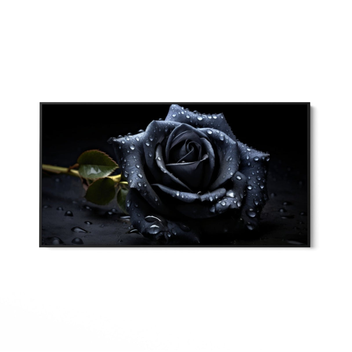 Die schwarze Rose 50x100cm