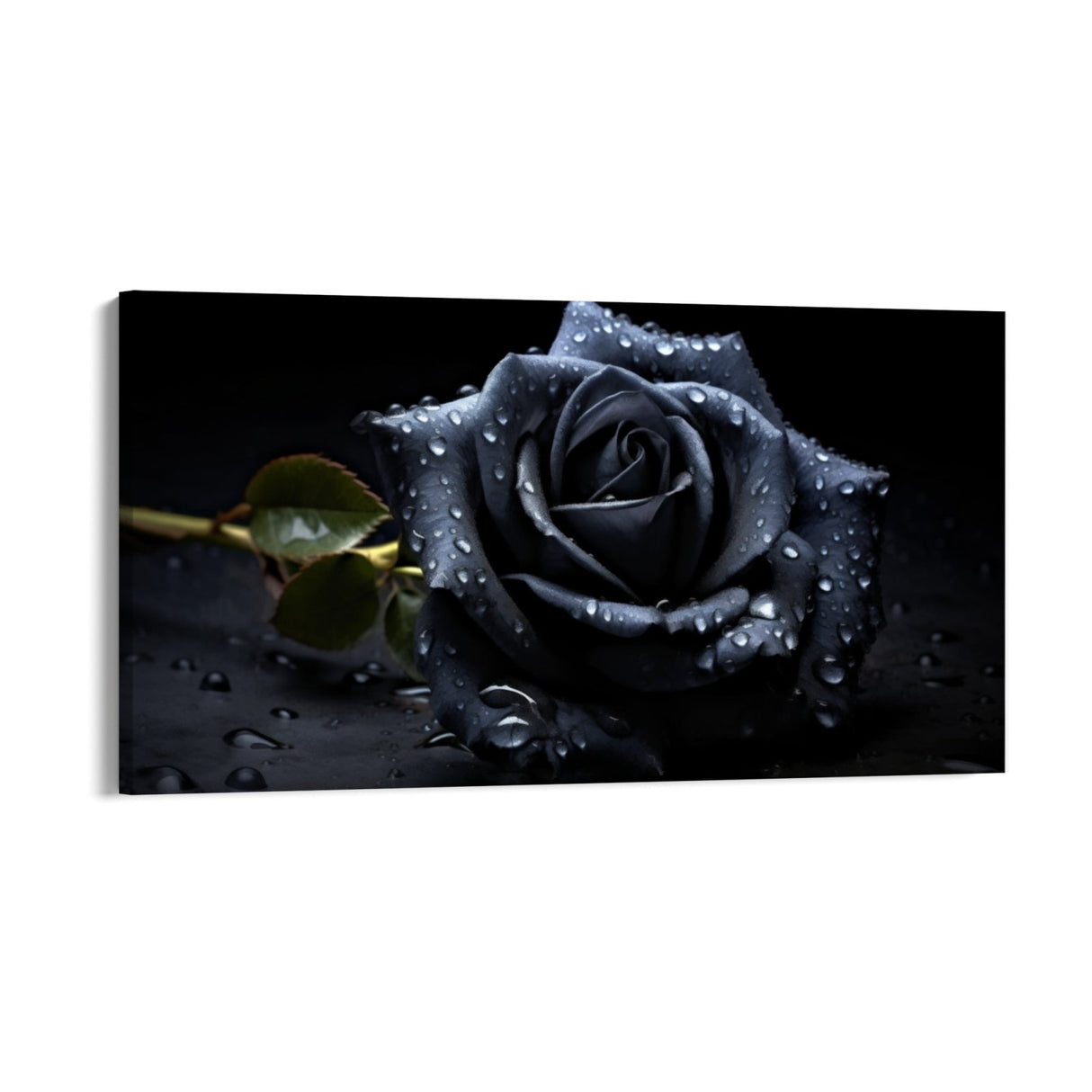 La rose noire