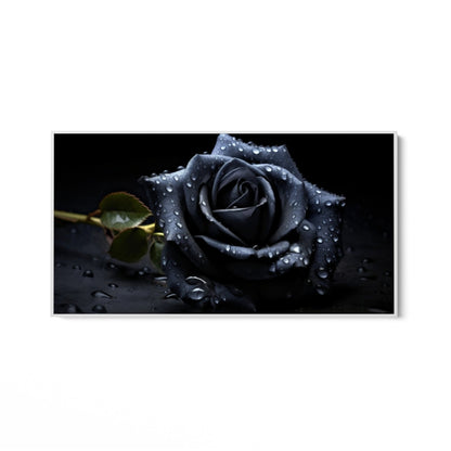 Die schwarze Rose