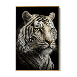 The White Tiger