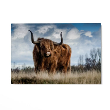 Quadro Stampa su Tela Manto Maestoso - CupidoDesign