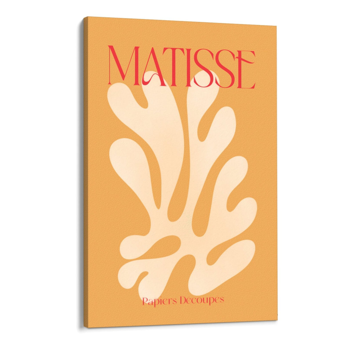 naranja matisse