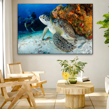 Quadro Stampa su Tela Melodia tra i Coralli - CupidoDesign