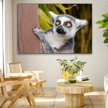 Quadro Stampa su Tela Occhi Curiosi - CupidoDesign