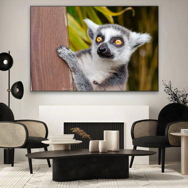 Quadro Stampa su Tela Occhi Curiosi - CupidoDesign