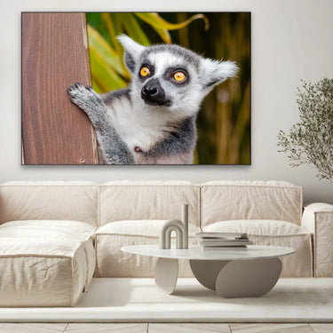 Quadro Stampa su Tela Occhi Curiosi - CupidoDesign