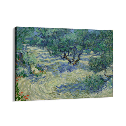 Maslinik 1889, Vincent Van Gogh
