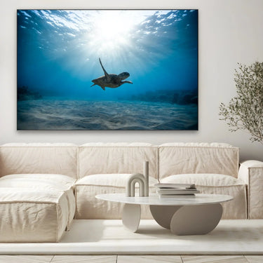 Quadro Stampa su Tela Oltre il Corallo - CupidoDesign