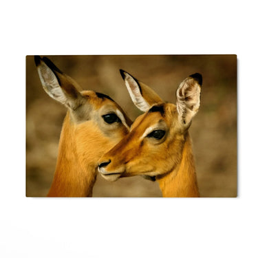Quadro Stampa su Tela Oltre la Savana - CupidoDesign