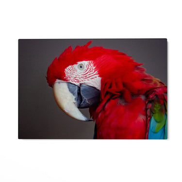 Quadro Stampa su Tela Oltre le Ombre - CupidoDesign