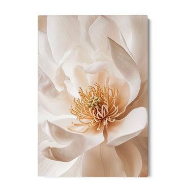 Quadro Stampa su Tela Petali di Pace - CupidoDesign