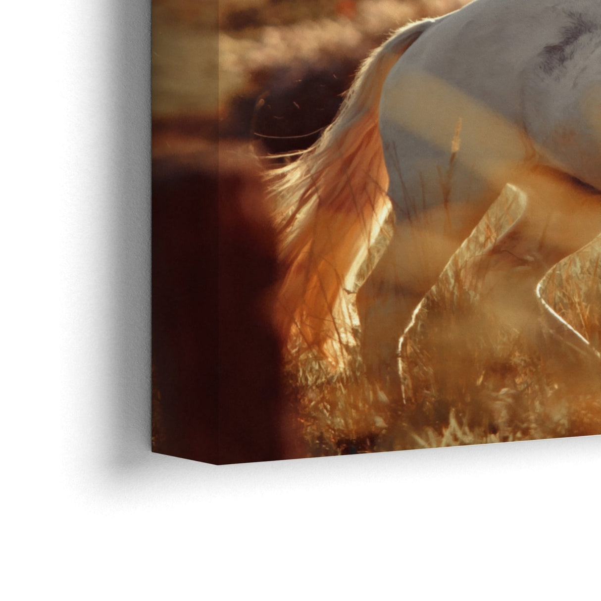 Pianura Equestre - CupidoDesign