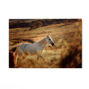 Quadro Stampa su Tela Pianura Equestre - CupidoDesign