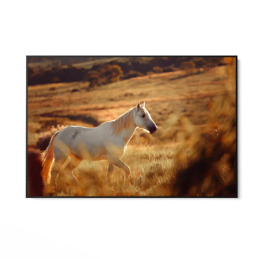 Quadro Stampa su Tela Pianura Equestre - CupidoDesign