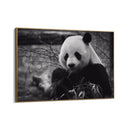 Quadro Stampa su Tela Riflessi Monocromatici - CupidoDesign