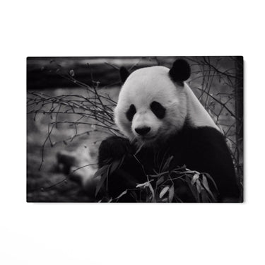 Quadro Stampa su Tela Riflessi Monocromatici - CupidoDesign