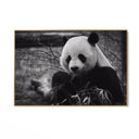 Quadro Stampa su Tela Riflessi Monocromatici - CupidoDesign
