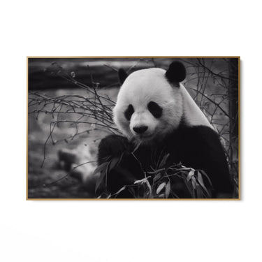 Quadro Stampa su Tela Riflessi Monocromatici - CupidoDesign