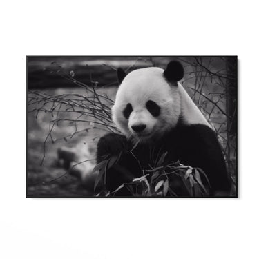 Quadro Stampa su Tela Riflessi Monocromatici - CupidoDesign