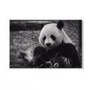 Quadro Stampa su Tela Riflessi Monocromatici - CupidoDesign