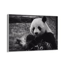 Quadro Stampa su Tela Riflessi Monocromatici - CupidoDesign
