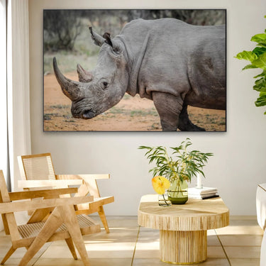 Quadro Stampa su Tela Rinoceronte Selvaggio - CupidoDesign