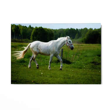 Quadro Stampa su Tela Risonanze Equestri - CupidoDesign