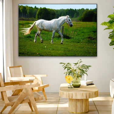 Quadro Stampa su Tela Risonanze Equestri - CupidoDesign