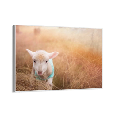 Quadro Stampa su Tela Risonanze nei Pascoli - CupidoDesign