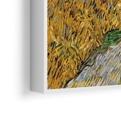 Put sa čempresom i zvijezdom, Vincent Van Gogh