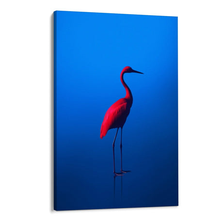 Rosso Blu - CupidoDesign