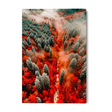 Quadro Stampa su Tela Selva Incantata - CupidoDesign