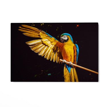 Quadro Stampa su Tela Sinfonia d'Ala - CupidoDesign
