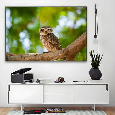 Quadro Stampa su Tela Sogno Alato - CupidoDesign