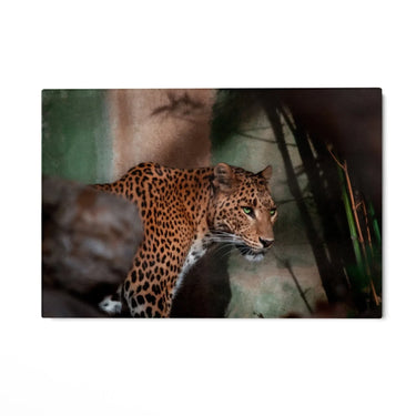 Quadro Stampa su Tela Sussurri del Predatore - CupidoDesign