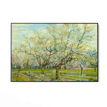 El huerto blanco 1888, Vincent Van Gogh