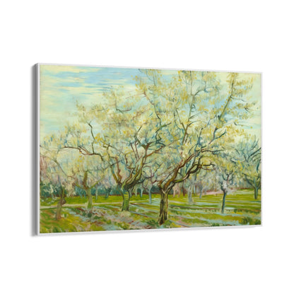 El huerto blanco 1888, Vincent Van Gogh