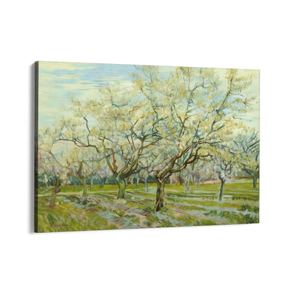 Den hvide frugthave 1888, Vincent Van Gogh