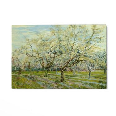 Quadro Stampa su Tela The White Orchard 1888, Vincent Van Gogh - CupidoDesign
