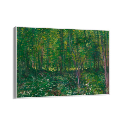 Árboles y maleza, Vincent Van Gogh