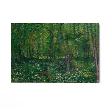 Quadro Stampa su Tela Trees and Undergrowth, Vincent Van Gogh - CupidoDesign