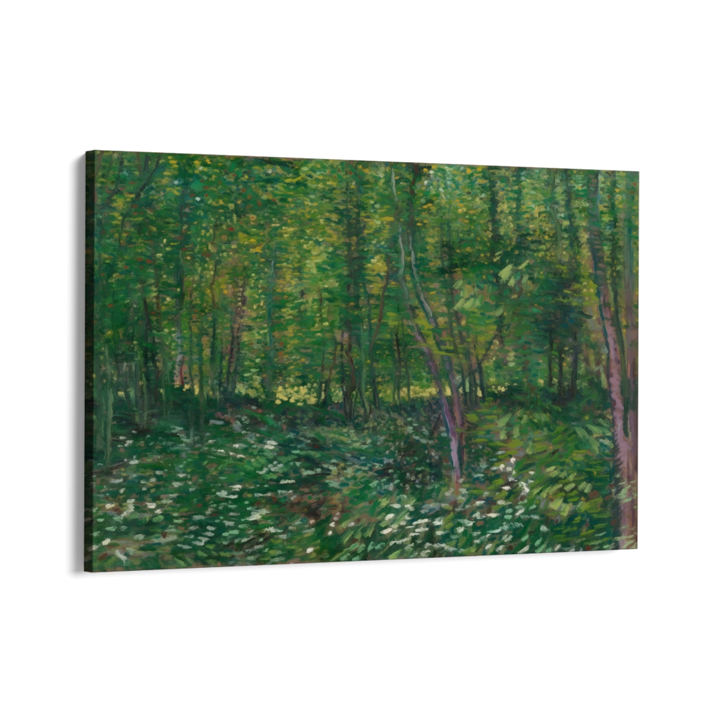 Träd och undervegetation, Vincent Van Gogh