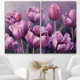 Tulipes violettes