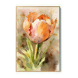 Watercolor tulip