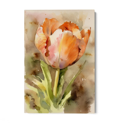 Akvarel tulipan