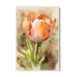 Tulipano Acquarello - CupidoDesign