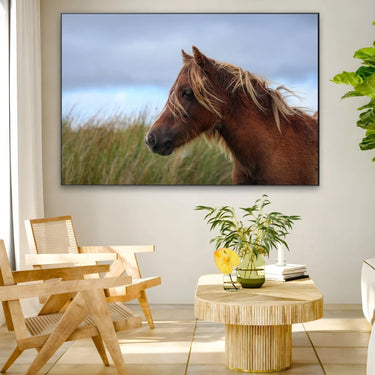 Quadro Stampa su Tela Vento nei Crini - CupidoDesign