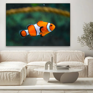 Quadro Stampa su Tela Vento tra le Pinne - CupidoDesign